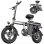 Bicicleta Eletrica Dobral Toofly GE5 14 polegadas