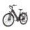 Elektrofahrrad TTGO C3 SE - 250W 52Nm 36V 18Ah