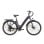 Elektrofahrrad TTGO C3 SE - 250W 52Nm 36V 18Ah