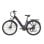 Elektrofahrrad TTGO C3 SE - 250W 52Nm 36V 18Ah