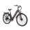 Elektrofahrrad TTGO C3 SE - 250W 52Nm 36V 18Ah