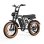 Veloelektrisch Allround PVY A20 Grau