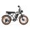 Veloelektrisch Allround PVY A20 Grau