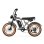 Veloelektrisch Allround PVY A20 Grau