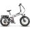 Bicicletta Elettrica Pieghevole Samebike RS-A02 Pro 20 pollici