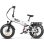 Bicicletta Elettrica Pieghevole Samebike RS-A02 Pro 20 pollici