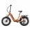 Elektrofahrrad TTGO F6 Boost Orange