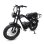 Velo electrique Avdl T3 - Pneus larges 20x4 et charge utile 150 kg
