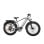 Velo tout-terrain electrique Bodywel D6 - Argent