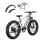 Velo tout-terrain electrique Bodywel D6 - Argent