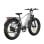 Velo tout-terrain electrique Bodywel D6 - Argent