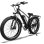Elektrofahrrad AVDL A35 26 x 4,0 250 W 48 V 13 Ah Shimano