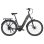 E-Bike TTGO C7 SE 36 V 18 Ah Bafang grau