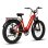 Vélo électrique Bodywel D9 250W 80Nm 48V 15Ah 26x4.0 Rouge