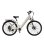 Bicicleta Eléctrica Pixar C1 250W 36V 13Ah Autonomía 40-50 km 28"