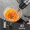 Mixeur plongeant BioloMix 4 en 1 1200W 6 vitesses Turbo