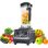 Mixeur BioloMix T5200 2200W Capacite 2L