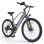 Bicicleta elétrica HillMiles MileTrail 1 250 W 26 polegadas