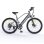 Bicicleta elétrica HillMiles MileTrail 1 250 W 26 polegadas