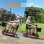 Scooter eléctrico HillMiles Ease 2 Pro Plegable 4 Ruedas 270 W 24 km 1 Batería