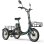 Bicicletta elettrica Niloxer KA1 500 W 48 V 23 Ah 16" verde