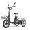 Bicicletta elettrica Niloxer KA1 500 W 48 V 23 Ah 16" verde