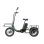 Bicicletta elettrica Niloxer KA1 500 W 48 V 23 Ah 16" verde
