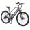Elektrofahrrad HillMiles MileTrail 1 36 V 250 W 13 Ah 26 Zoll