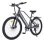Elektrofahrrad HillMiles MileTrail 1 36 V 250 W 13 Ah 26 Zoll