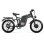Bicicleta eléctrica Tifgalop F7 2000 W doble motor 20"