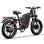 Bicicleta eléctrica Tifgalop F7 2000 W doble motor 20"