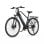 Bicicleta eléctrica Duotts C29 Lite 250 W 36 V 13 Ah 65 km Shimano 7 velocidades