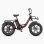 Bicicleta Eléctrica ENGWE L20 Boost 48V 250W Batería 13 Ah