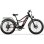 Bicicleta Eléctrica Cleytro ES7 48V 250W Suspensión Doble