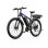 Bicicleta eléctrica de montaña DUOTTS C29-K 250 W Doble Batería 48 V 21 Velocidades