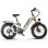 Bicicleta Eléctrica CEAYA A20 Pro 250W 48V 20Ah Ruedas 20"