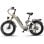 Bicicleta Eléctrica CEAYA A20 Pro 250W 48V 20Ah Ruedas 20"