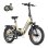 Bicicleta eléctrica ENGWE L20 3.0 Pro 250 W 100 Nm 48 V 15 Ah dorada