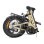 Bicicleta eléctrica ENGWE L20 3.0 Pro 250 W 100 Nm 48 V 15 Ah dorada
