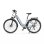 Bicicleta eléctrica OneSport OT05Max 250 W 36 V 22,5 Ah 700C gris