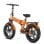 Bicicleta Eléctrica ENGWE EP-2 Boost Plegable 48V 250W 13Ah Neumáticos 20x4"
