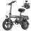 Bicicleta eléctrica plegable Toofly GE5 250 W 48 V 15 Ah urbana 14"