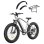 Bicicletta Elettrica Bodywel D6 750W 48V 15Ah Fat Tire 26 pollici