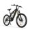 Elektrofahrrad RZOGUWEX RX700 500W 48V 17,5Ah Offroad 26 Zoll