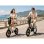 Bicicleta eléctrica Bodywel T16 Pro plegable 250 W 14" con portaequipajes