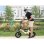 Bicicleta eléctrica Bodywel T16 Pro plegable 250 W 360 Wh 14" beige