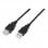 Nanocable Cable Prolongador USB 2.0 Tipo A Macho/Hembra 1m Negro