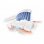 Philips Sonicare HealthyWhite