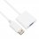 Owlotech Adaptador DisplayPort a VGA