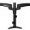 StarTech.com ARMDUAL Flachbildschirm-Tischhalterung 61 cm (24") Tisch/Bank Schwarz